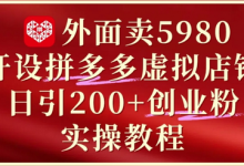 外面卖5980开设拼多多虚拟店铺:单日引流200+创业付费粉实战教程-蜗牛学社