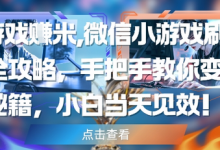 玩游戏挣米,微信小游戏刷广告全攻略,手把手教你变现秘籍,小白当天见效-蜗牛学社