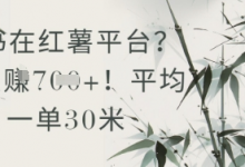 抄书在小红薯平台?平均一单30米,一天收益几张!-蜗牛学社