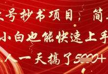 公众号抄书项目,简单粗暴,小白也能快速上手,有人一天搞了1k+-蜗牛学社