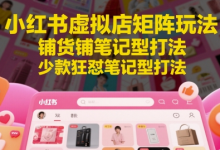 小红书虚拟店矩阵玩法,铺货铺笔记型打法,少款狂怼笔记型打法-蜗牛学社