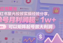 小红书聚光投放实操经验分享，单号月利润超1w+，可以矩阵起号放大利润-蜗牛学社