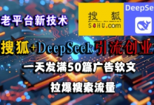 搜狐+DeepSeek引流创业粉，老平台新技术，一天发满50篇广告软文，拉爆搜索流量-蜗牛学社