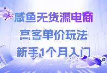 咸鱼无货源电商，高客单价玩法，新手1个月入门-蜗牛学社