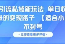 男粉引流私域新玩法，单日收益达10张的变现路子 【适合小白】不封号-蜗牛学社