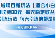 私域项目新玩法【适合小白】 一单收费88.每天稳定收益几张-蜗牛学社
