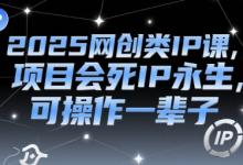 2025网创类IP课，项目会死IP永生，可操作一辈子-蜗牛学社