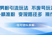 小红书男粉引流玩法不废号玩法日引100男粉变现路径多操作简单-蜗牛学社