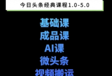 头条图文课1-5期教你头条图文写作、微头条、视频搬运变现,适合新手快速起号玩法-蜗牛学社