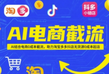 AI电商截流项目,AI结合电商0成本截流,助力淘宝多多抖店无货源0成本起店-蜗牛学社