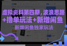 虚拟资料第四期,波浪思路+撸单玩法,新增闲鱼独家玩法-蜗牛学社