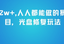 月入2w+，人人都能做的暴利项目，光盘修复玩法-蜗牛学社