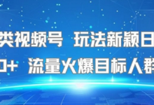 名著类视频号 玩法新颖日收益500+ 流量火爆目标人群广-蜗牛学社