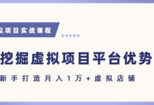 抓住虚拟项目各平台优势,新手轻松月入1W+(给出具体建议)-蜗牛学社
