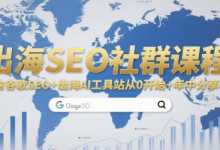 出海SEO社群课程,包含谷歌SEO+出海AI工具站从0开始+年中分享等-蜗牛学社