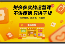 拼多多实战运营课，不讲废话只讲干货，简单粗暴，能落地，可复制-蜗牛学社