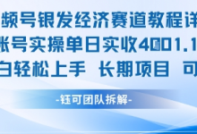 视频号银发经济赛道单账号实操单日实收1k+,小白轻松上手长期项目-蜗牛学社