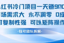 小红书冷门项目一天收益9张,市场需求大,0成本,可复制性强可以矩阵操作-蜗牛学社
