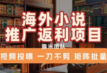海外小说推广返利项目,视频投喂, 一刀不剪,矩阵批量-蜗牛学社