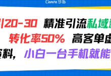 日引 20-30 精准引流私域新玩法,转化率50% 高客单虚拟资料,小白一台手机就能做-蜗牛学社