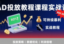 AD投放教程课程实战课,实现广告ROI300%+可持续暴利-蜗牛学社