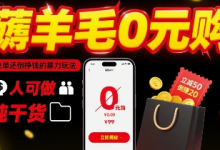 薅羊毛0元购,免单还倒挣钱的暴力玩法,人人可做,纯干货-蜗牛学社