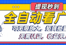全自动看广告项目,可无限放大,可矩阵批量操作-蜗牛学社