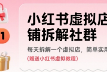 小红书虚拟店铺拆解社群，每天拆解一个虚拟店，简单实用(赠送小红书虚拟教程)-蜗牛学社