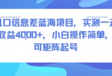风口信息差蓝海项目，实测一天收益4k+，小白操作简单，可矩阵起号-蜗牛学社