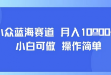 小众蓝海赛道,小白可做,操作简单,每天30分钟,月入1W+-蜗牛学社