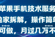 苹果手机技术服务，独家拆解，操作简单，小白可做，月过1W不是梦-蜗牛学社