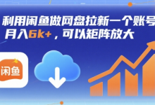利用闲鱼做网盘拉新一个账号,月入6k+,可以矩阵放大-蜗牛学社