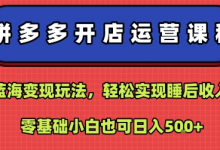 拼多多开店运营课程:蓝海变现玩法,轻松实现睡后收入,零基础小白也可日入5张-蜗牛学社