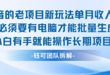 老项目新玩法单月收入2W小白有手就能操作长期项目-蜗牛学社