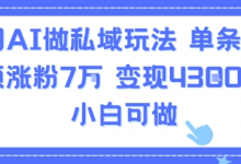 用AI做私域玩法,单条视频涨粉7W变现4.3k,小白可做-蜗牛学社