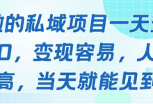 好做的私域项目一天变现1k+，变现容易，人群占比高，当天就能见到钱-蜗牛学社