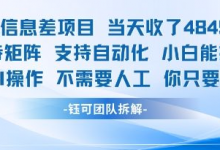 蓝海信息差项目当天收米1k+ 支持矩阵支持自动化小白能操作全程AI操作不需要人工你只要会电脑-蜗牛学社