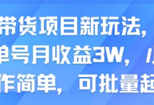 AI带货项目新玩法,实测单号月收益3W,小白操作简单,可批量起号-蜗牛学社