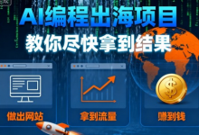 AI编程出海项目,教你尽快拿到结果-做出网站、拿到流量、賺到钱-蜗牛学社