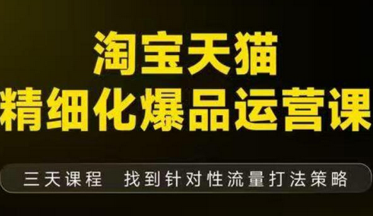 淘宝天猫精细化爆品运营（9月12-14杭州线下课），全方位拆解爆品打造逻辑【音频+字幕+文档】-蜗牛学社