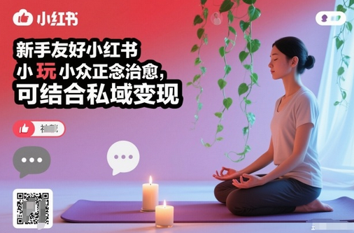 新手友好小红书小众正念治愈,玩法简单,可结合私域变现-蜗牛学社