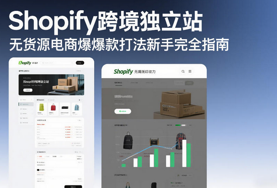 Shopify跨境独立站无货源电商爆款打法新手完全指南-蜗牛学社