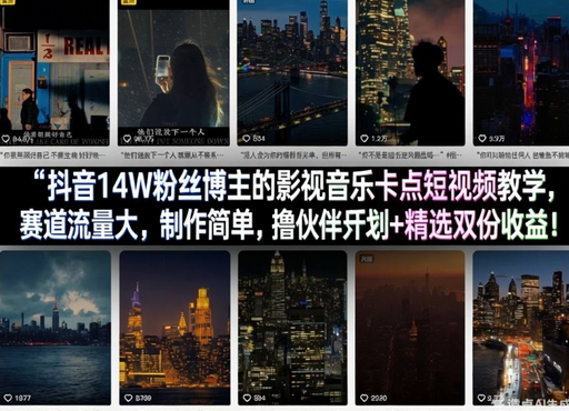 抖音14W粉丝博主的影视音乐卡点短视频教学，赛道流量大，制作简单，撸伙伴计划+精选双份收益！-蜗牛学社